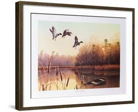 Forgotten Lake Mallards-Durant Ball-Framed Collectable Print