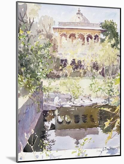 Forgotten Palace, Udaipur, 1999-Lucy Willis-Mounted Giclee Print