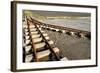 Forgotten Railway - 24-akorotaev-Framed Photographic Print