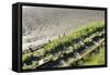 Forgotten Railway - 25-akorotaev-Framed Stretched Canvas