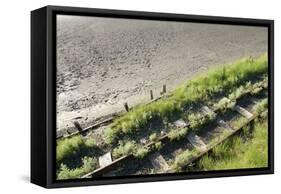 Forgotten Railway - 25-akorotaev-Framed Stretched Canvas