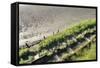 Forgotten Railway - 25-akorotaev-Framed Stretched Canvas