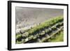 Forgotten Railway - 25-akorotaev-Framed Photographic Print