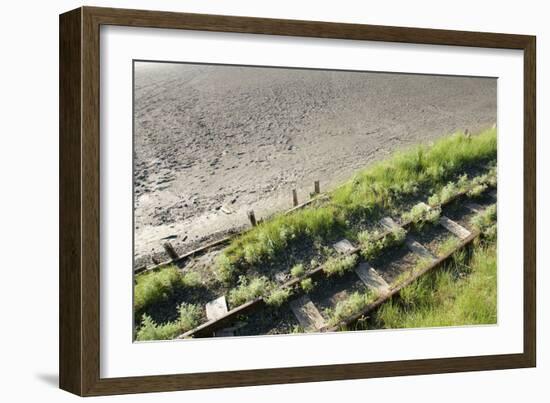 Forgotten Railway - 25-akorotaev-Framed Photographic Print