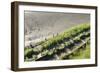 Forgotten Railway - 25-akorotaev-Framed Photographic Print