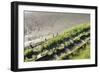 Forgotten Railway - 25-akorotaev-Framed Photographic Print