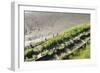 Forgotten Railway - 25-akorotaev-Framed Photographic Print