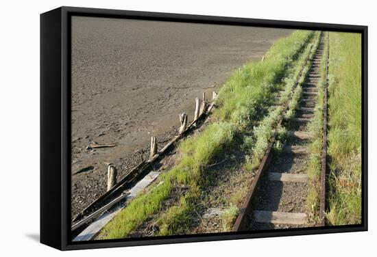 Forgotten Railway - 26-akorotaev-Framed Stretched Canvas