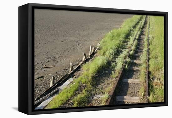 Forgotten Railway - 26-akorotaev-Framed Stretched Canvas