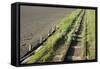 Forgotten Railway - 26-akorotaev-Framed Stretched Canvas