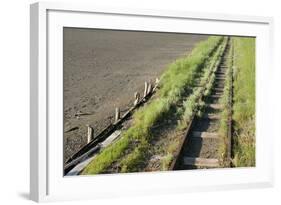Forgotten Railway - 26-akorotaev-Framed Photographic Print