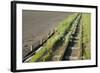 Forgotten Railway - 26-akorotaev-Framed Photographic Print