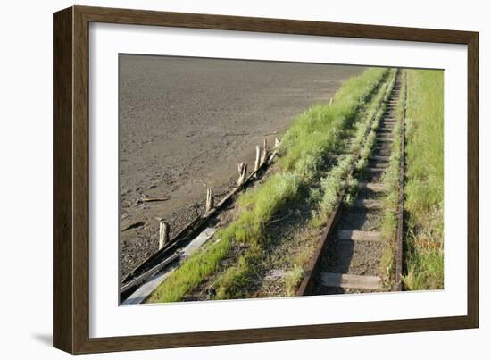 Forgotten Railway - 26-akorotaev-Framed Photographic Print