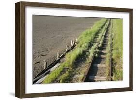 Forgotten Railway - 26-akorotaev-Framed Photographic Print