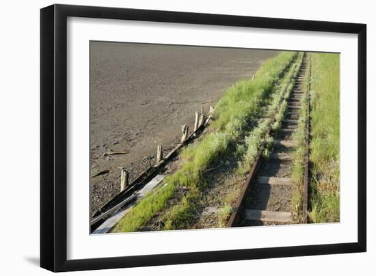 Forgotten Railway - 26-akorotaev-Framed Photographic Print