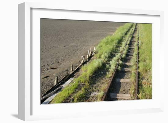 Forgotten Railway - 26-akorotaev-Framed Photographic Print