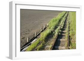 Forgotten Railway - 26-akorotaev-Framed Photographic Print