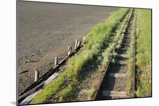 Forgotten Railway - 26-akorotaev-Mounted Photographic Print