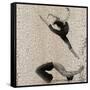 Forgotten Romance 5-NaxArt-Framed Stretched Canvas