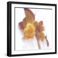 Forgotten Shadows-Jacob Berghoef-Framed Photographic Print