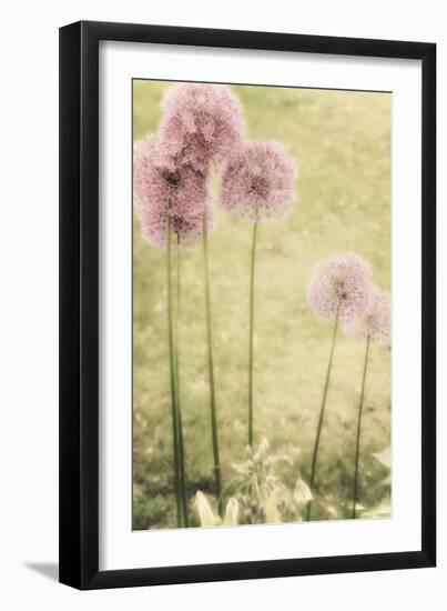 Forgotten Summer-Mindy Sommers-Framed Giclee Print