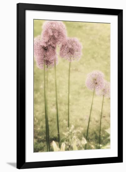 Forgotten Summer-Mindy Sommers-Framed Giclee Print