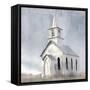 Forgotton-Kimberly Allen-Framed Stretched Canvas