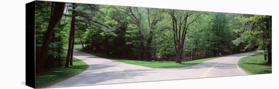 Fork in a Road Surrounded by Trees, Park Road, Letchworth State Park, New York State, USA-null-Stretched Canvas