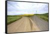 Fork in Country Back Road with Canola and Wheat Fields-Terry Eggers-Framed Stretched Canvas