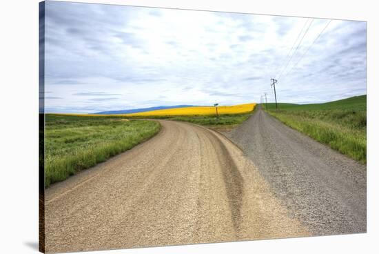 Fork in Country Back Road with Canola and Wheat Fields-Terry Eggers-Stretched Canvas