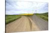 Fork in Country Back Road with Canola and Wheat Fields-Terry Eggers-Stretched Canvas