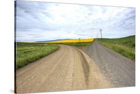 Fork in Country Back Road with Canola and Wheat Fields-Terry Eggers-Stretched Canvas