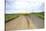 Fork in Country Back Road with Canola and Wheat Fields-Terry Eggers-Stretched Canvas