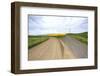 Fork in Country Back Road with Canola and Wheat Fields-Terry Eggers-Framed Photographic Print