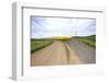 Fork in Country Back Road with Canola and Wheat Fields-Terry Eggers-Framed Photographic Print