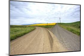 Fork in Country Back Road with Canola and Wheat Fields-Terry Eggers-Mounted Photographic Print