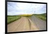 Fork in Country Back Road with Canola and Wheat Fields-Terry Eggers-Framed Photographic Print