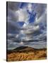 Fork in the road at sunset, Samburu Game Reserve, Kenya-Adam Jones-Stretched Canvas