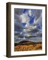 Fork in the road at sunset, Samburu Game Reserve, Kenya-Adam Jones-Framed Photographic Print