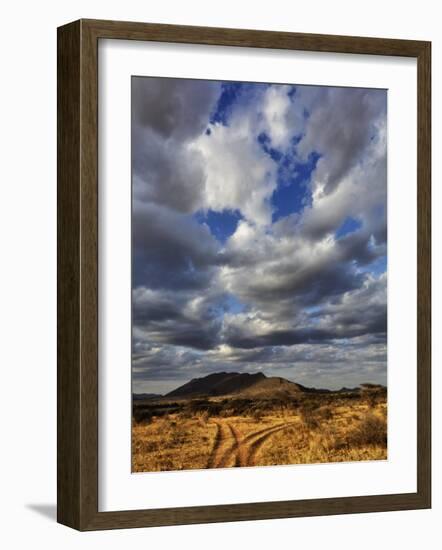 Fork in the road at sunset, Samburu Game Reserve, Kenya-Adam Jones-Framed Photographic Print