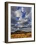 Fork in the road at sunset, Samburu Game Reserve, Kenya-Adam Jones-Framed Photographic Print