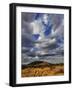 Fork in the road at sunset, Samburu Game Reserve, Kenya-Adam Jones-Framed Photographic Print