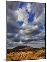 Fork in the road at sunset, Samburu Game Reserve, Kenya-Adam Jones-Mounted Photographic Print