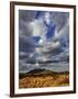 Fork in the road at sunset, Samburu Game Reserve, Kenya-Adam Jones-Framed Photographic Print