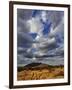 Fork in the road at sunset, Samburu Game Reserve, Kenya-Adam Jones-Framed Photographic Print