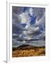 Fork in the road at sunset, Samburu Game Reserve, Kenya-Adam Jones-Framed Photographic Print