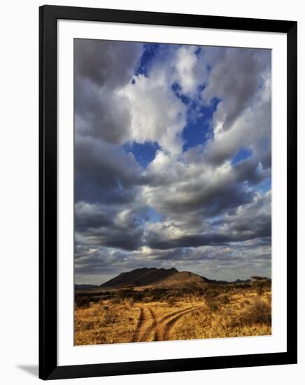 Fork in the road at sunset, Samburu Game Reserve, Kenya-Adam Jones-Framed Photographic Print