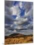 Fork in the road at sunset, Samburu Game Reserve, Kenya-Adam Jones-Mounted Photographic Print