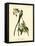 Fork-Tailed Flycatcher-John James Audubon-Framed Stretched Canvas