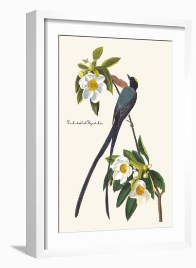 Fork-Tailed Flycatcher-John James Audubon-Framed Art Print